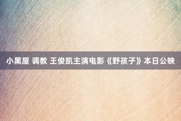 小黑屋 调教 王俊凯主演电影《野孩子》本日公映
