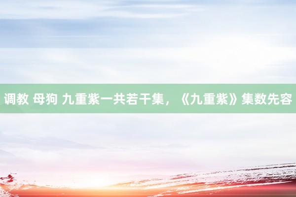 调教 母狗 九重紫一共若干集，《九重紫》集数先容