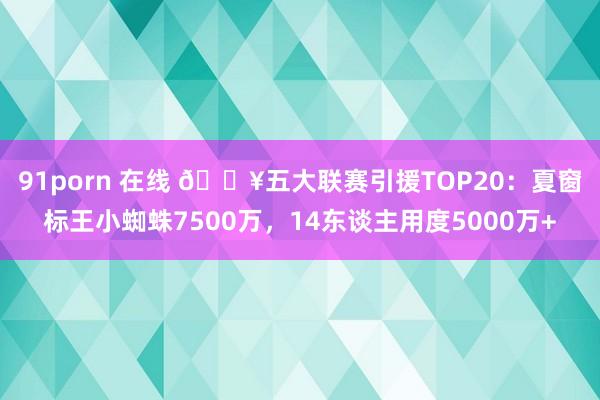 91porn 在线 🔥五大联赛引援TOP20：夏窗标王小蜘蛛7500万，14东谈主用度5000万+