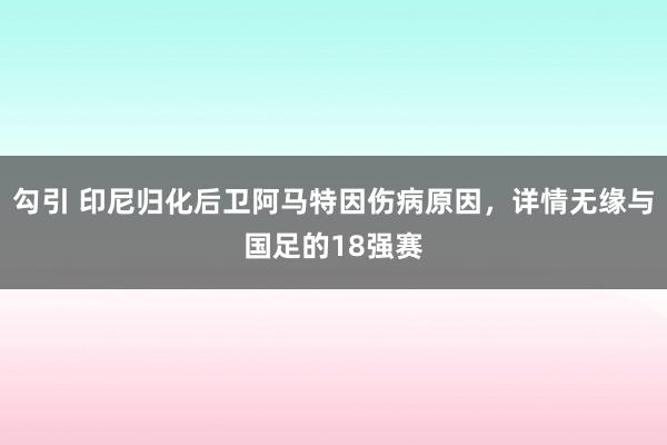 勾引 印尼归化后卫阿马特因伤病原因，详情无缘与国足的18强赛